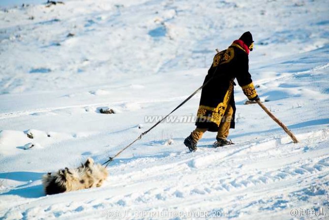 滑雪板 【新疆】阿勒泰，毛皮滑雪板演绎古老滑雪传统