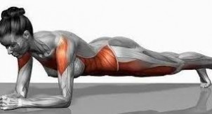 平板支撑 平板支撑 (Plank) 锻炼腹肌真的有效吗？