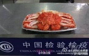 去秦皇岛吃肥美的蟹 遇到如此“肥美”的螃蟹，还是别吃了！真相一定吓你一跳……