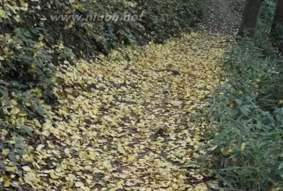 彭州葛仙山 周末切彭州，不止葛仙山和白鹿镇！