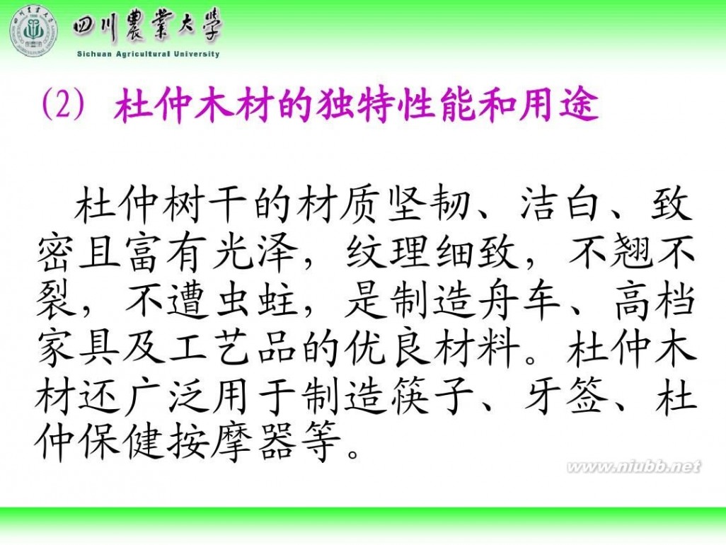 林学概论 四川农业大学 林学概论课件