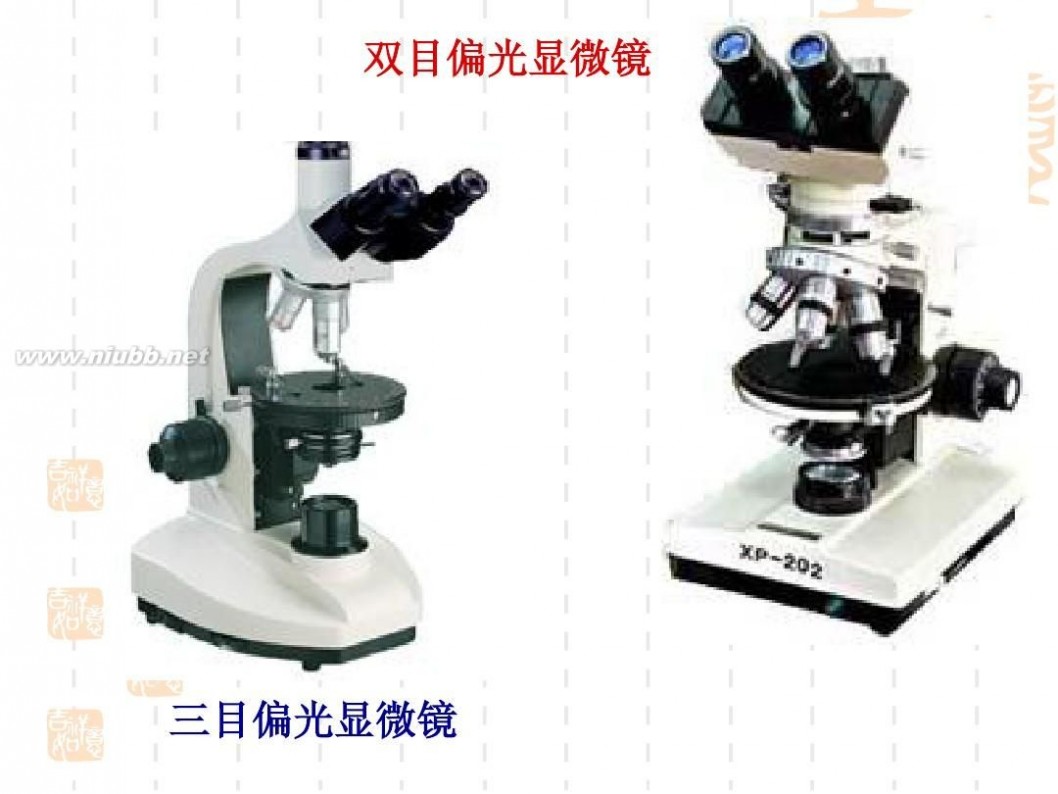 光学显微镜 光学显微镜