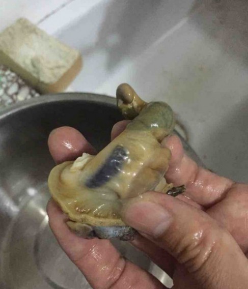 爆炒海螺的做法
