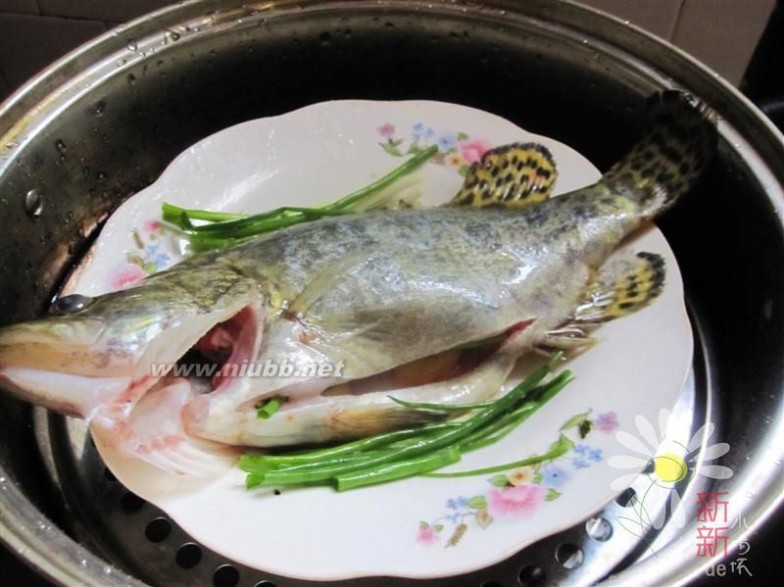 清蒸鳜鱼 清蒸鳜鱼的做法,清蒸鳜鱼怎么做好吃,清蒸鳜鱼的家常做法