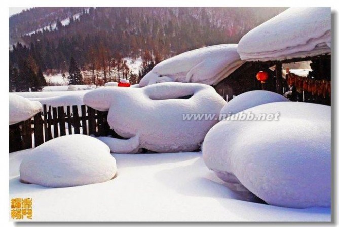 【美图欣赏】北国风光，千里冰封，万里雪飘