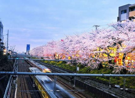 日本东京一日游怎么玩