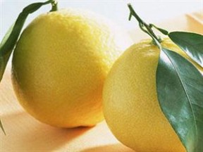 柚子的产地 柚子的产地,品种和产地环境