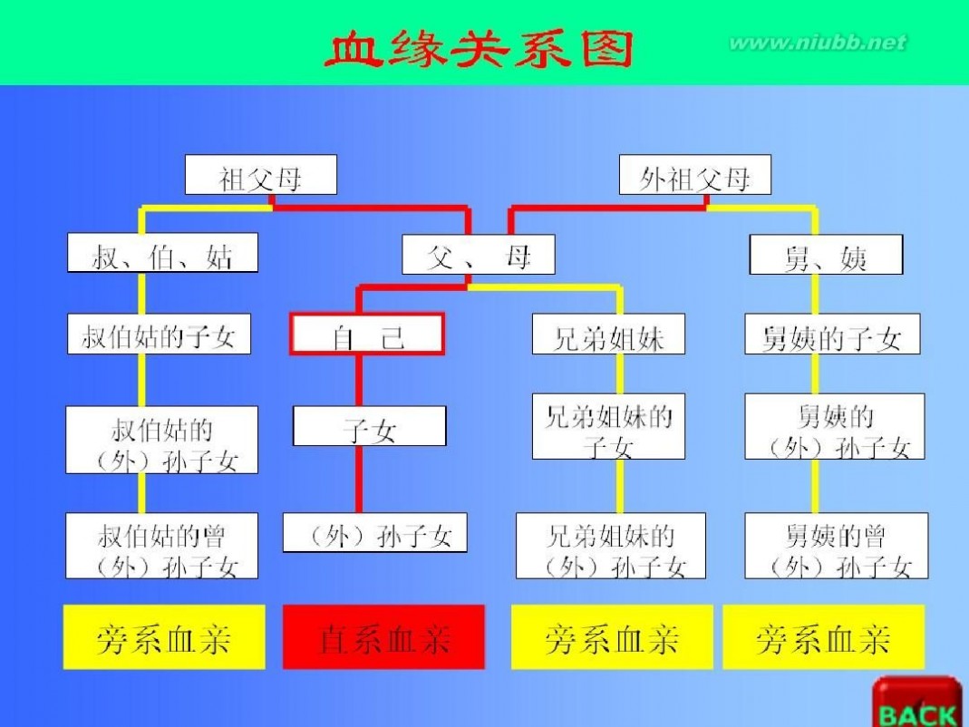 遗传病 人类遗传病