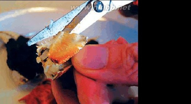 螃蟹的吃法 螃蟹类吃法图解