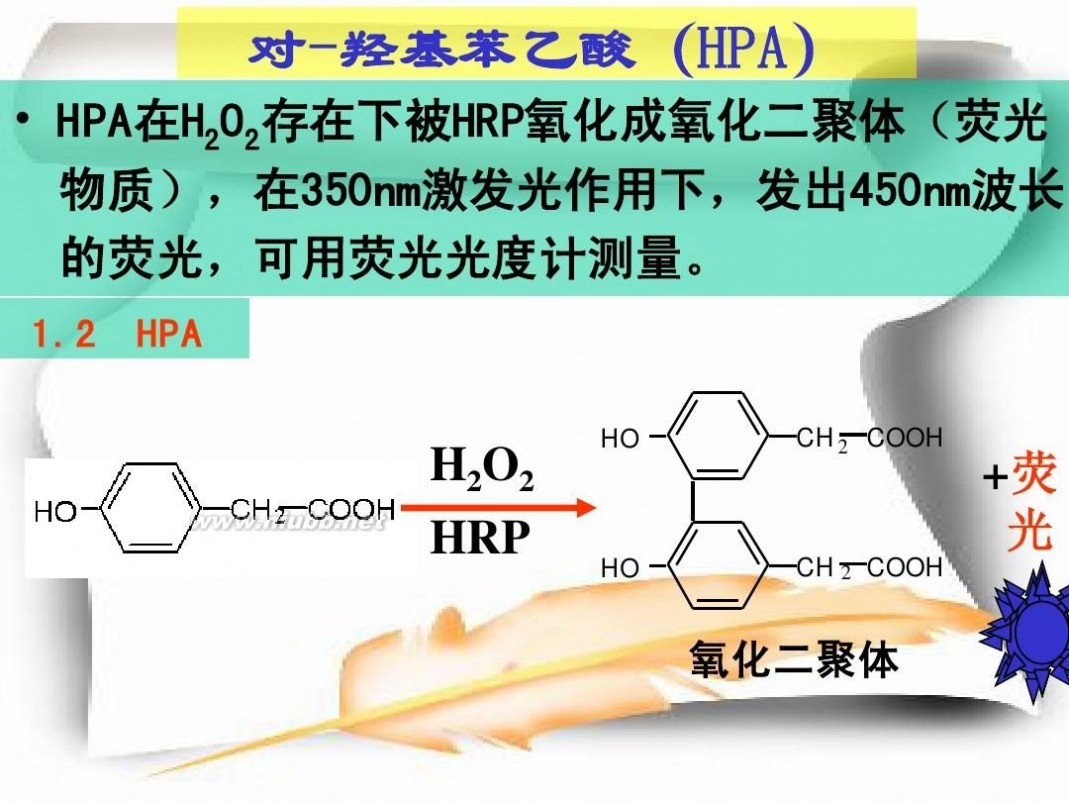 化学发光法 化学发光法的原理技术要点及评价应用