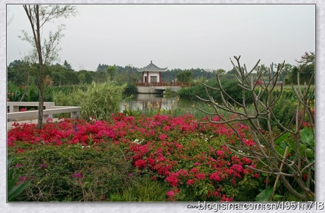 游海珠湿地公园