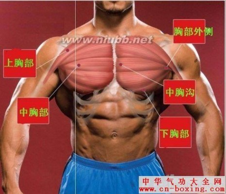 胸肌锻炼方法 健身房锻炼胸肌的十大方法