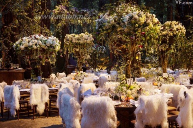 Facebook首任总裁900万美元的世纪婚礼——浪漫神奇的场景