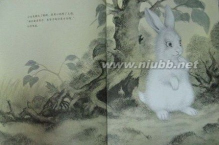 爱的诺言 黑兔和白兔：爱的诺言