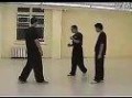 意拳视频 [转载]形意拳(意拳)珍贵视频