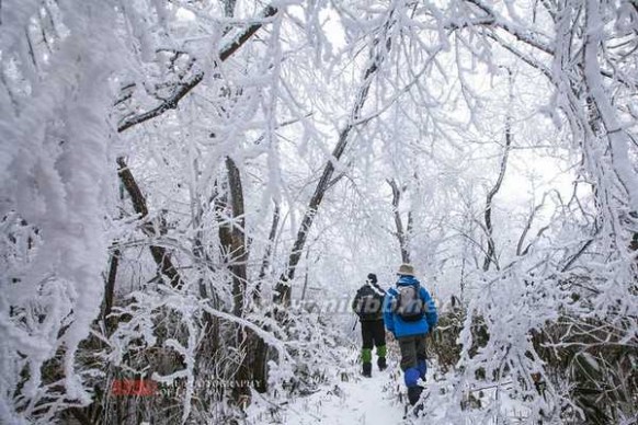 龙王山 龙王山：艰难跋涉只为那震撼雪景