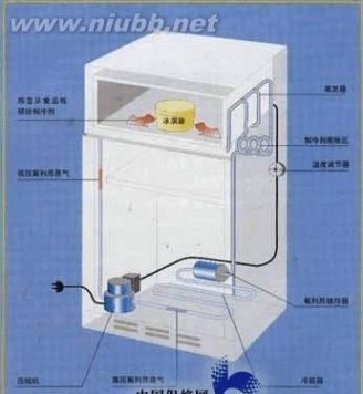 冰箱氟利昂 电冰箱的制冷工作原理
