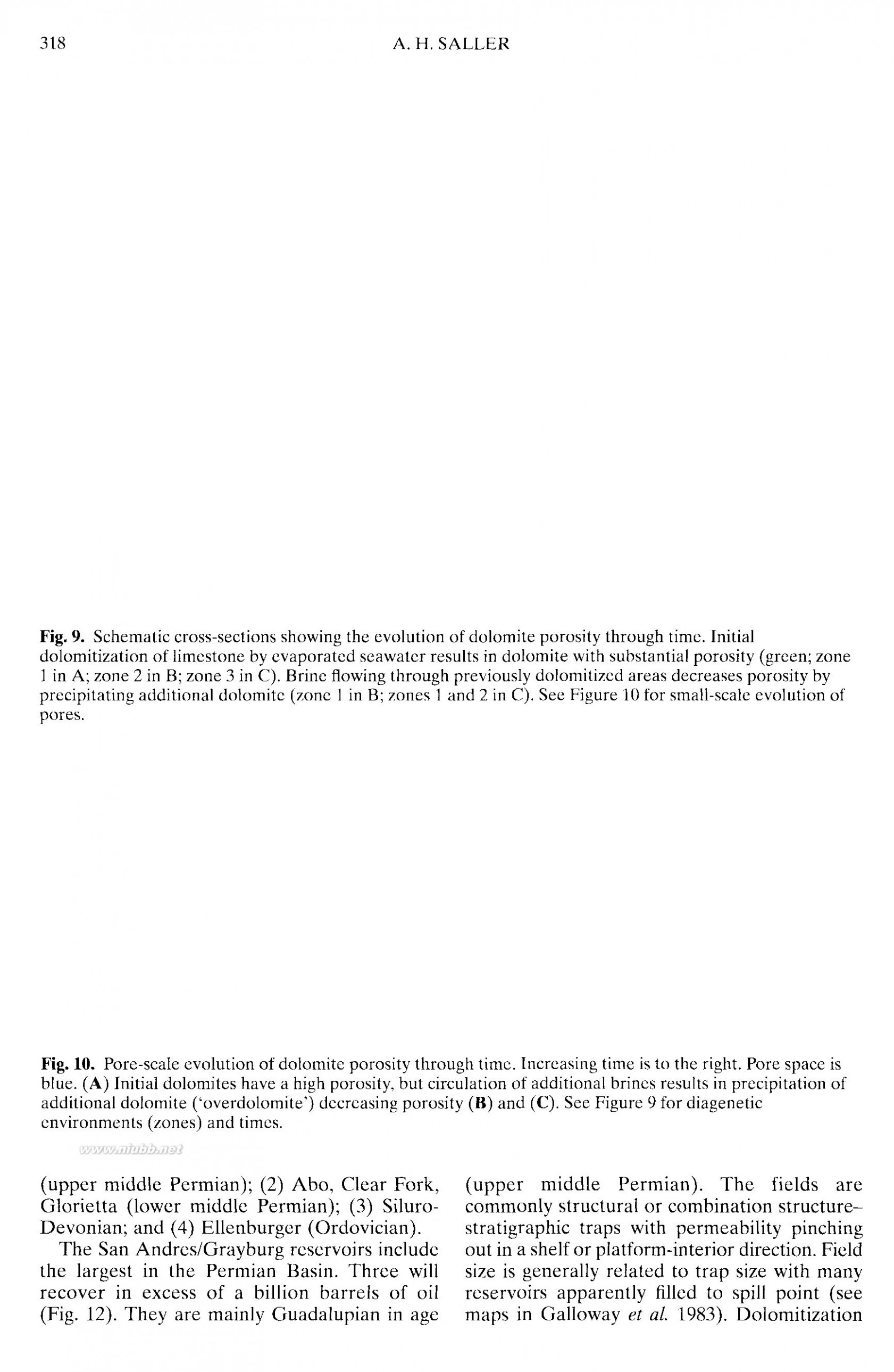 dolomite The geometry and petrogenesis of dolomite hydrocarbon reservoirs-3