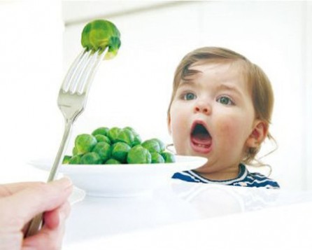 秋季幼儿饮食小常识 秋季幼儿饮食小常识 合理安排营养健康