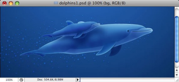 Making of Dolphins