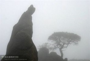 山登绝顶我为峰 海到无边天做岸，山登绝顶我为峰