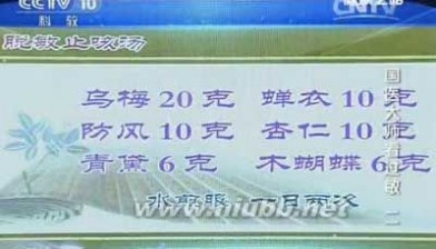 健康之路王琦 健康之路20150128王琦-国医大师看过敏(2)