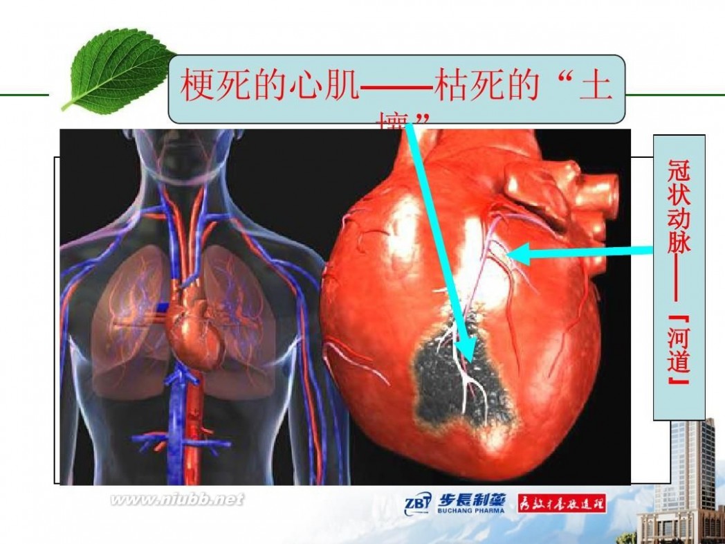 tm2012 2012-TM-01糖尿病基本知识