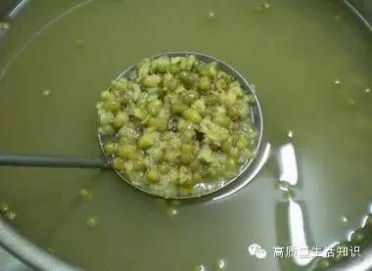 绿豆沙怎么做 “煮绿豆”只要2分钟就开花！怎么做呢？