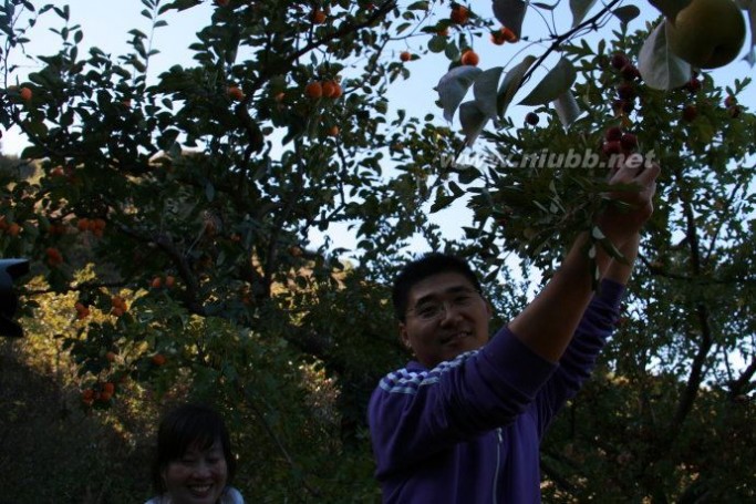 中国知行社成员山东吕剧《墙头记》欣赏与感悟