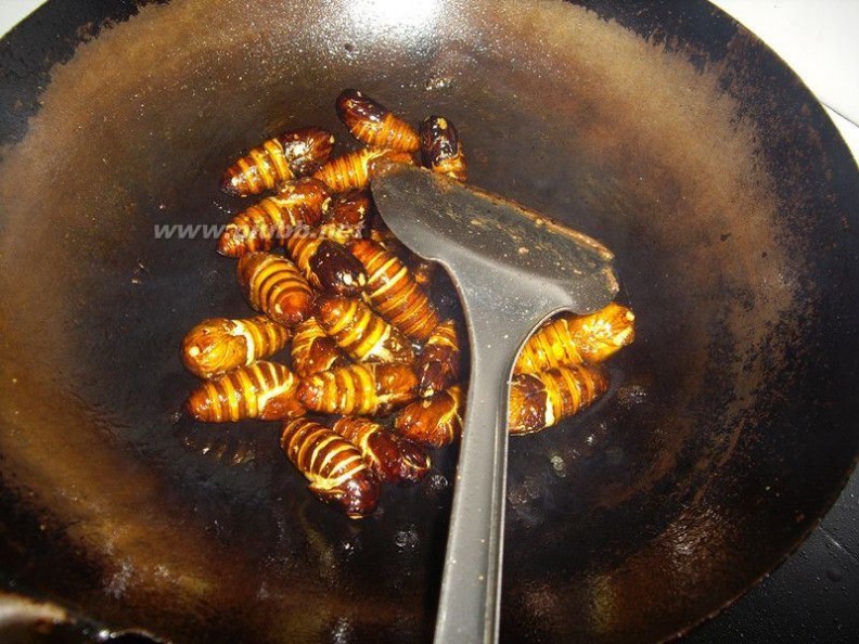 炒蚕蛹 炒蚕蛹的做法,炒蚕蛹怎么做好吃,炒蚕蛹的家常做法