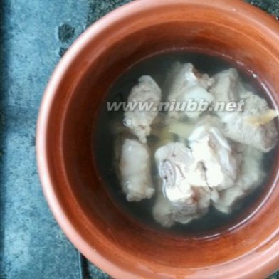 海葵是什么 海葵排骨汤,海葵排骨汤的做法,海葵排骨汤的家常做法