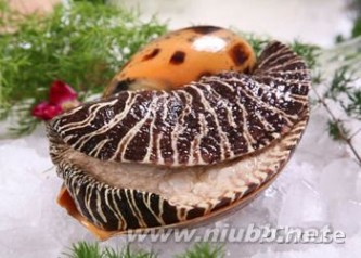 油螺 【油螺】油螺的营养价值，油螺的做法，食用油螺的注意事项，油螺的清洗方法