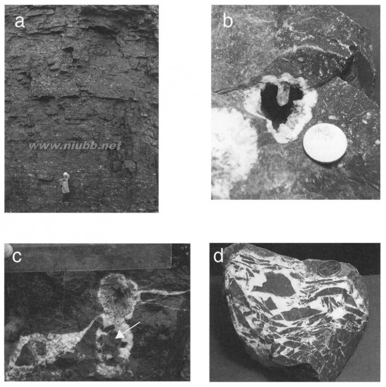 dolomite The geometry and petrogenesis of dolomite hydrocarbon reservoirs-3