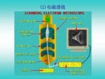 扫描电子显微镜 扫描电子显微镜与透射电子显微镜
