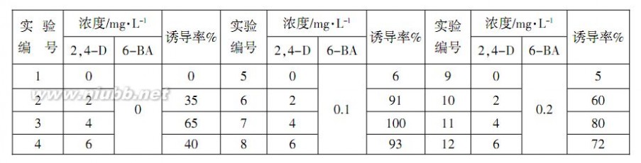 金丝雀鸟 凉山州2015届二诊生物试题 彭东旭 2