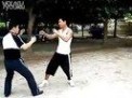 意拳视频 [转载]形意拳(意拳)珍贵视频