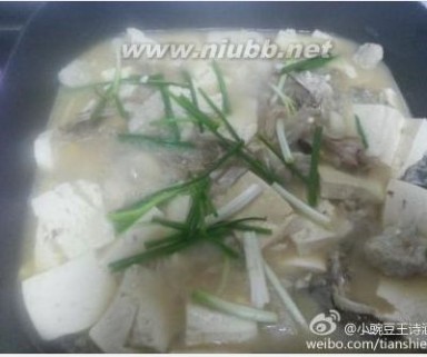 鲢鱼炖豆腐 花鲢鱼头炖豆腐,花鲢鱼头炖豆腐的做法,花鲢鱼头炖豆腐的家常做法