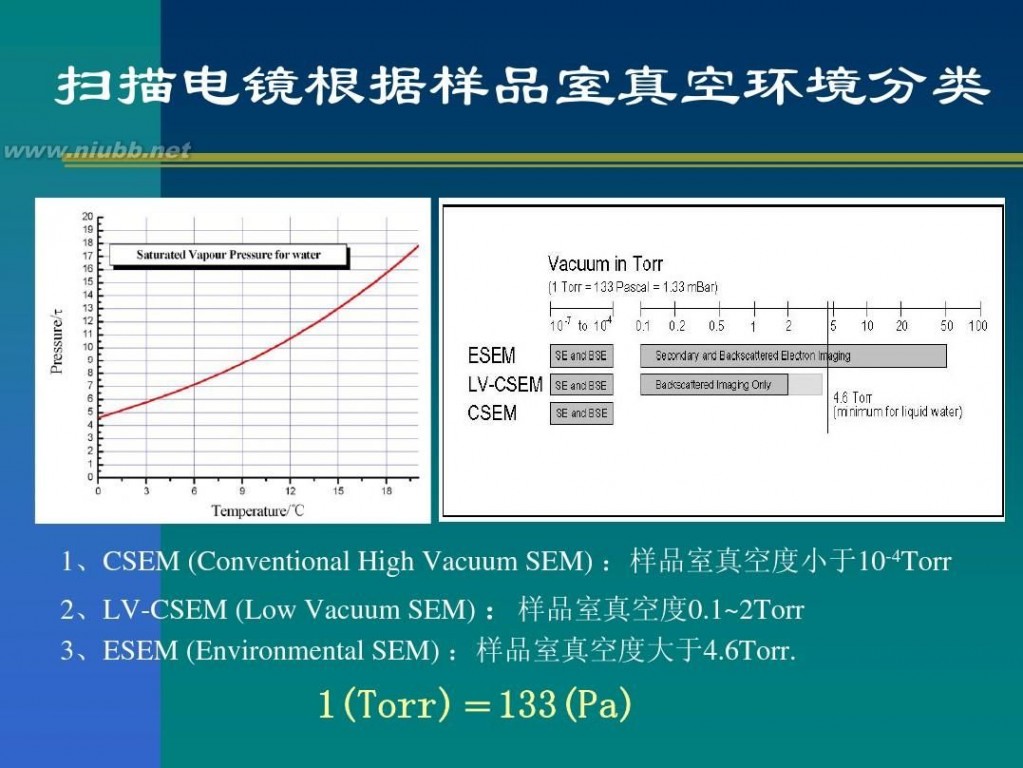 eds X射线能谱仪(EDS)