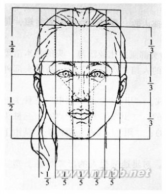 人体结构素描 人物素描：人体头部结构图