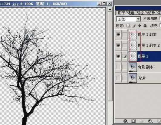 photoshop树木枝叶四种抠图的方法介绍