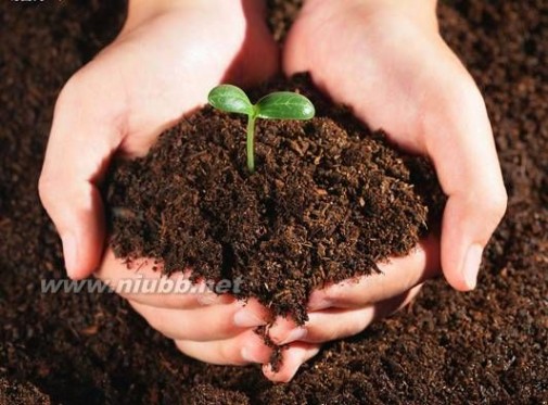 草炭土 什么是草炭土？如何制作草炭土？
