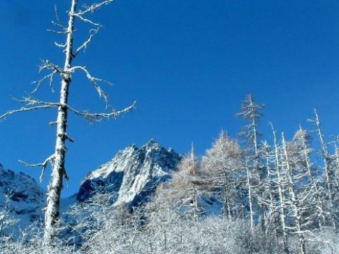 毕棚沟冬景图片