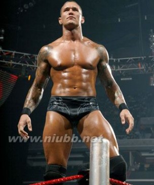 我爱WWE——我无法抗拒肌肉的魅力