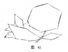 牡丹国画 国画牡丹技法教程