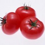 西红柿的功效与作用及食用方法，西红柿的营养价值_