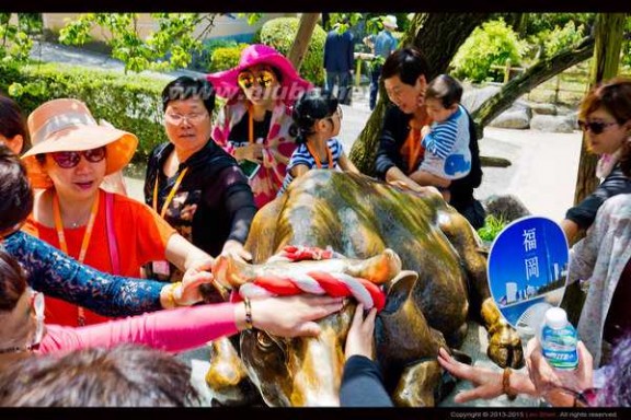 梦幻之旅电视剧 【天海之恋】天海邮轮首航梦幻之旅