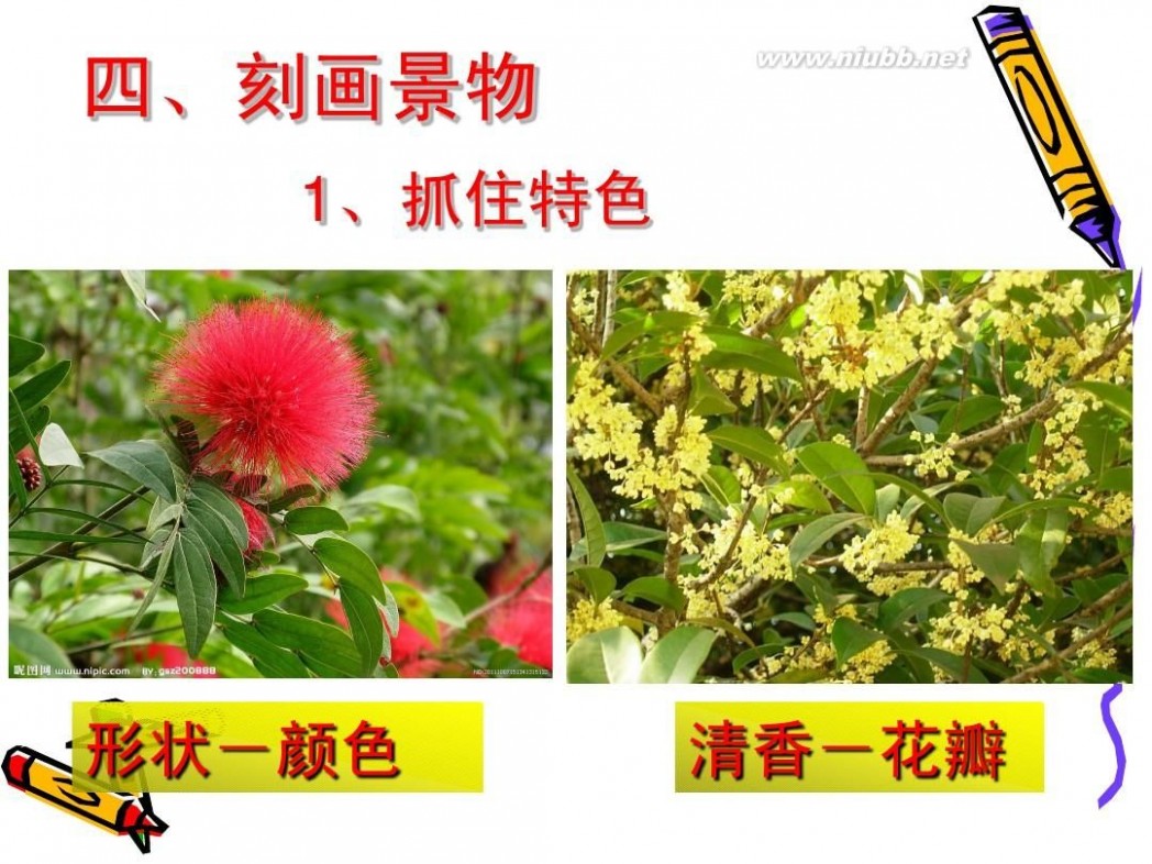 葵花宝典作者 葵花宝典之四