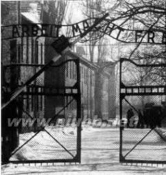 1945年1月27日苏军解放奥斯维辛集中营_奥斯维辛集中营