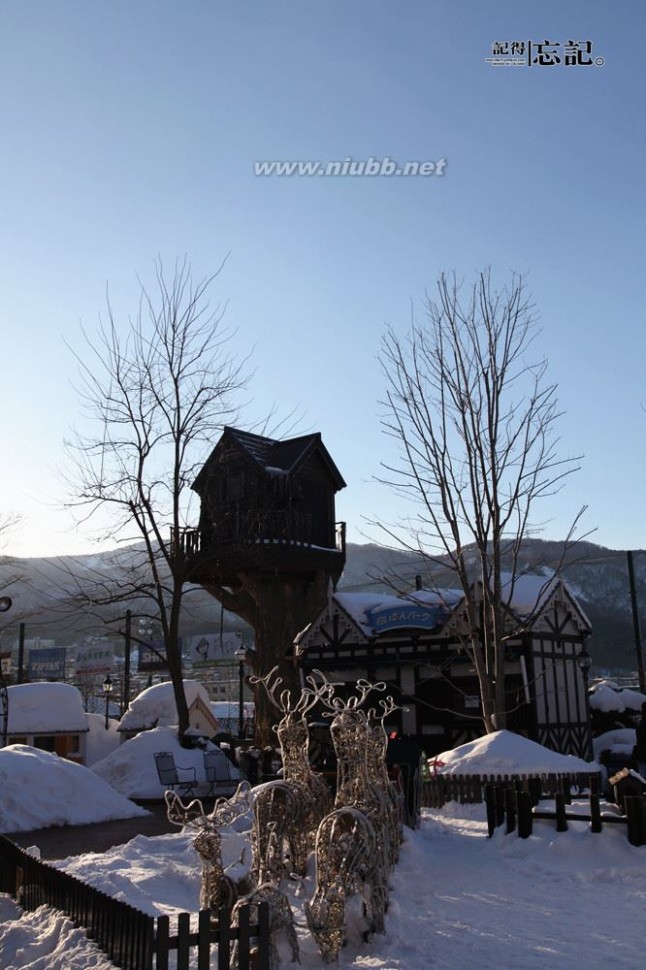 北海道白色恋人：一场充满童话色彩的美妙之旅