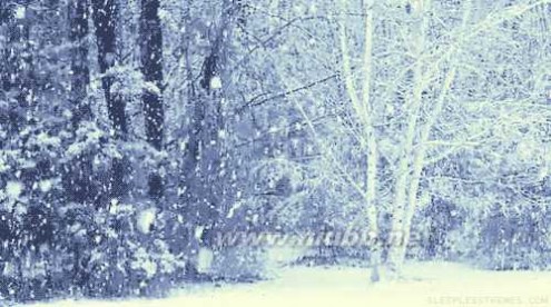 重庆下雪 2016重庆主城第一场雪，美成这样！（已刷爆朋友圈）